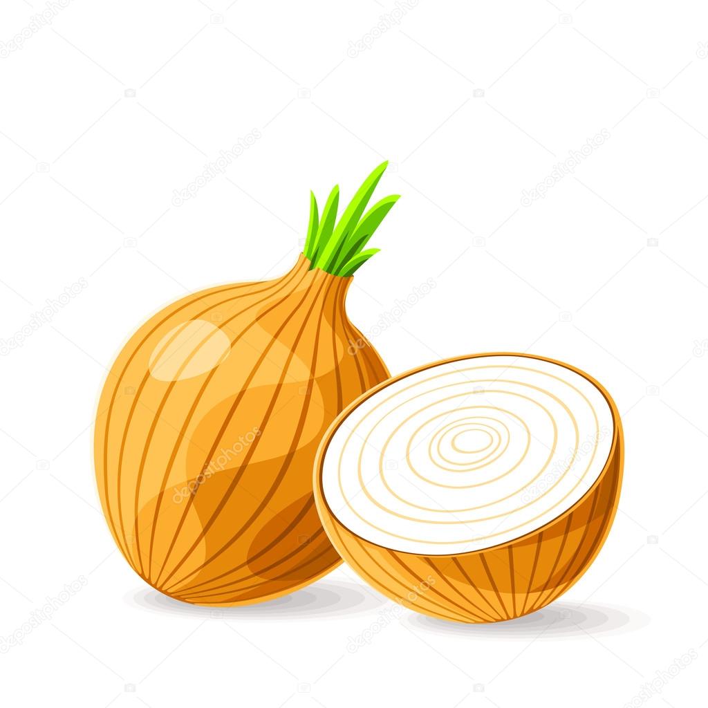 white onion icon