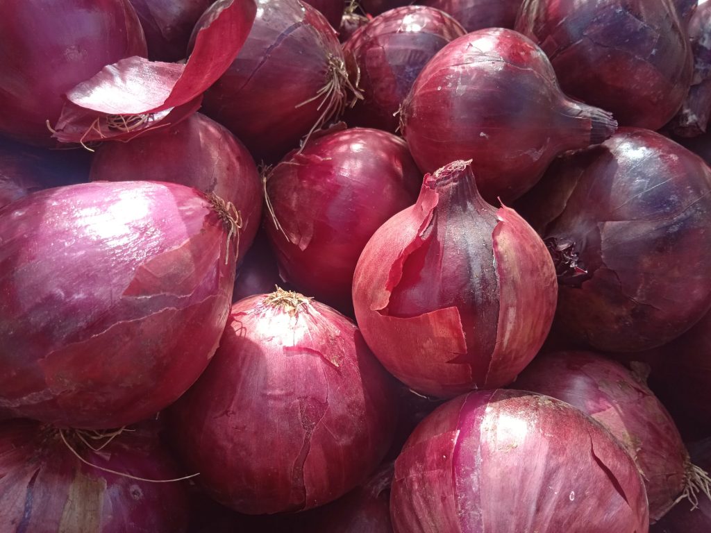 Mastering Red Creole Onion Farming in Kenya: A Guide by Onion Doctor