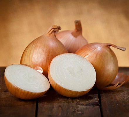 Unlocking Onion Farming Success in Kenya: A Comprehensive Guide with Onion Doctor’s Support