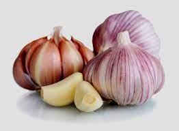 Processing and Value Addition of Garlic