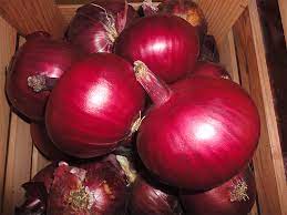 Things to Consider when Starting Onion Farming in Kenya.