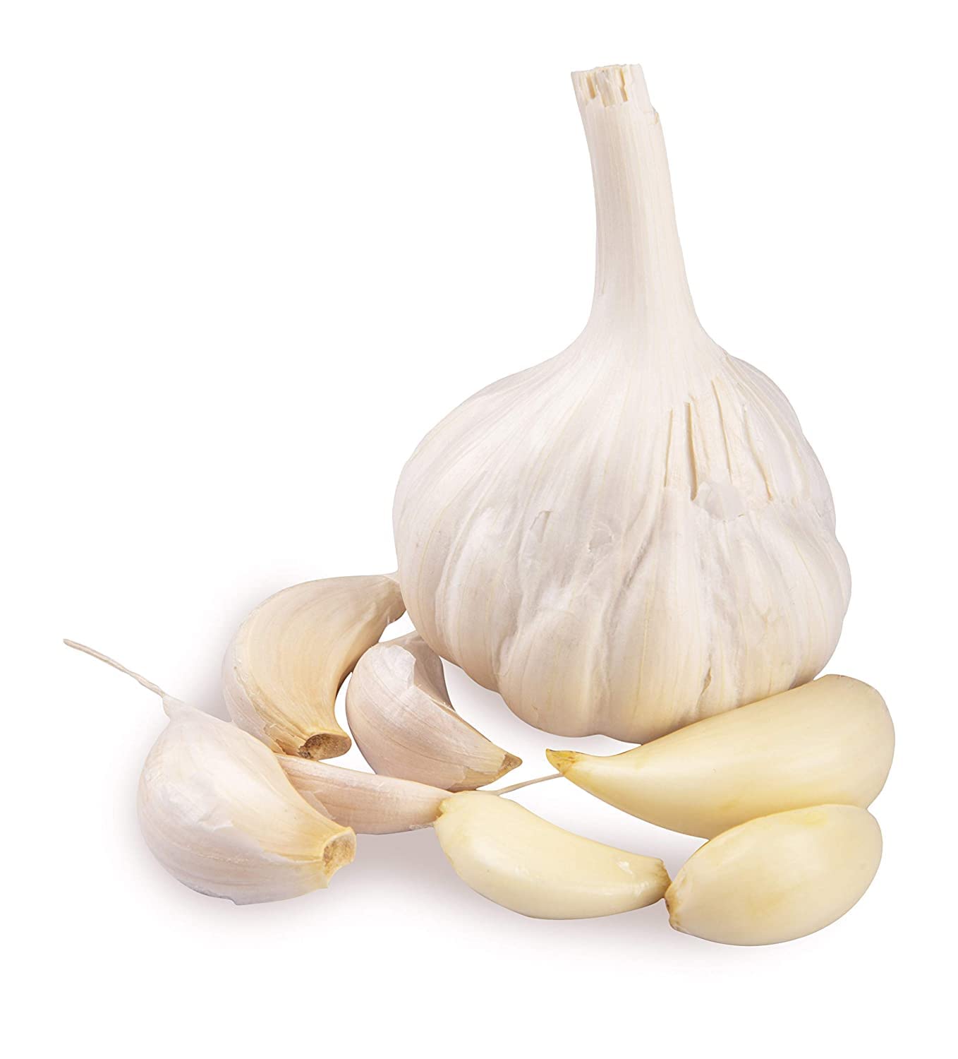 Unlocking the Health and Agricultural Benefits of Garlic Farming in Kenya