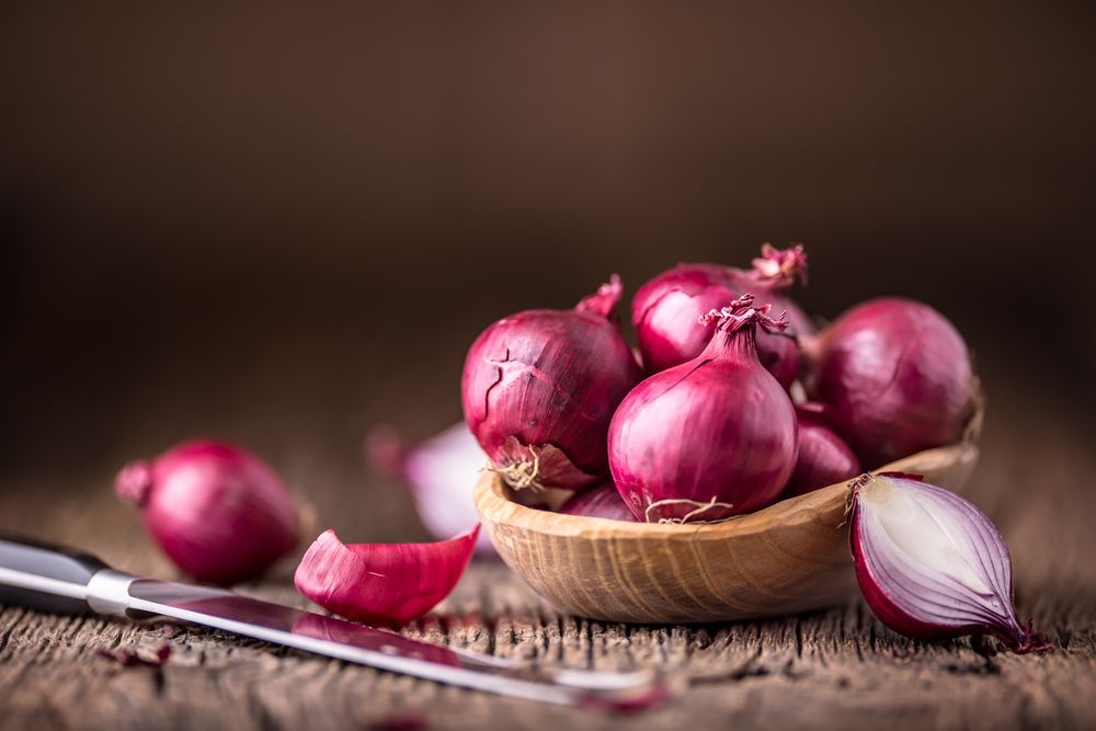 Optimizing Onion Farming in Kenya: A Comprehensive Guide for Success