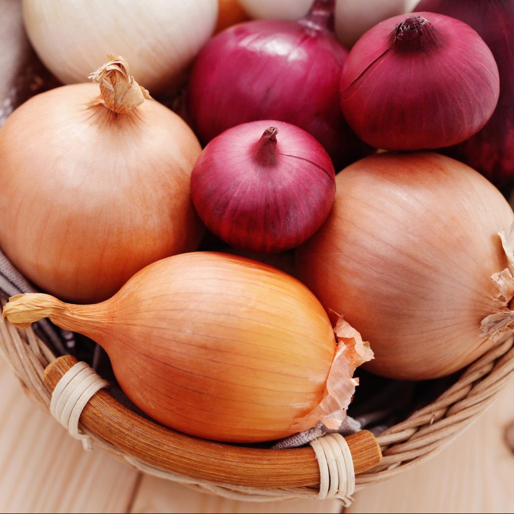 Optimizing Onion Farming in Kenya: A Comprehensive Guide with Onion Doctor’s Expertise