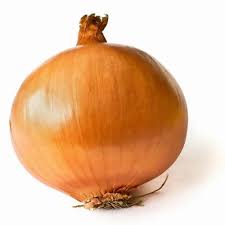 Onion Farming in Kenya: Organic Onion Farming in Kenya