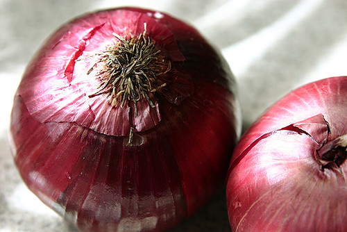 Frequently Asked questions: Onion Farming in Kenya