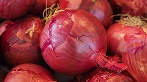 Mastering Red Onion Farming in Kenya: A Step-by-Step Guide with Onion Doctor’s Expertise