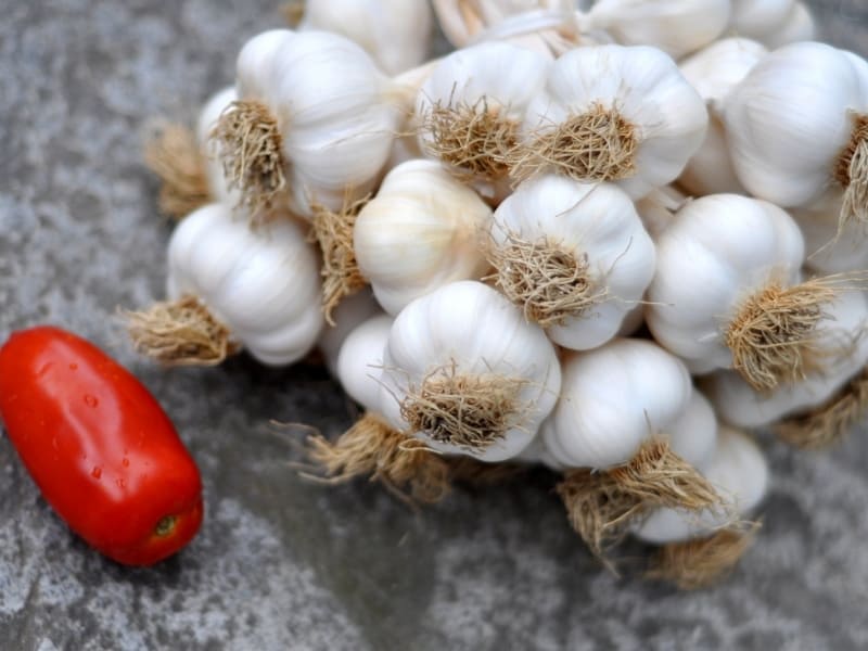 Types Of Garlic