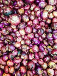 Onion Farming in Kenya: Post Harvest Losses in Onion Production.