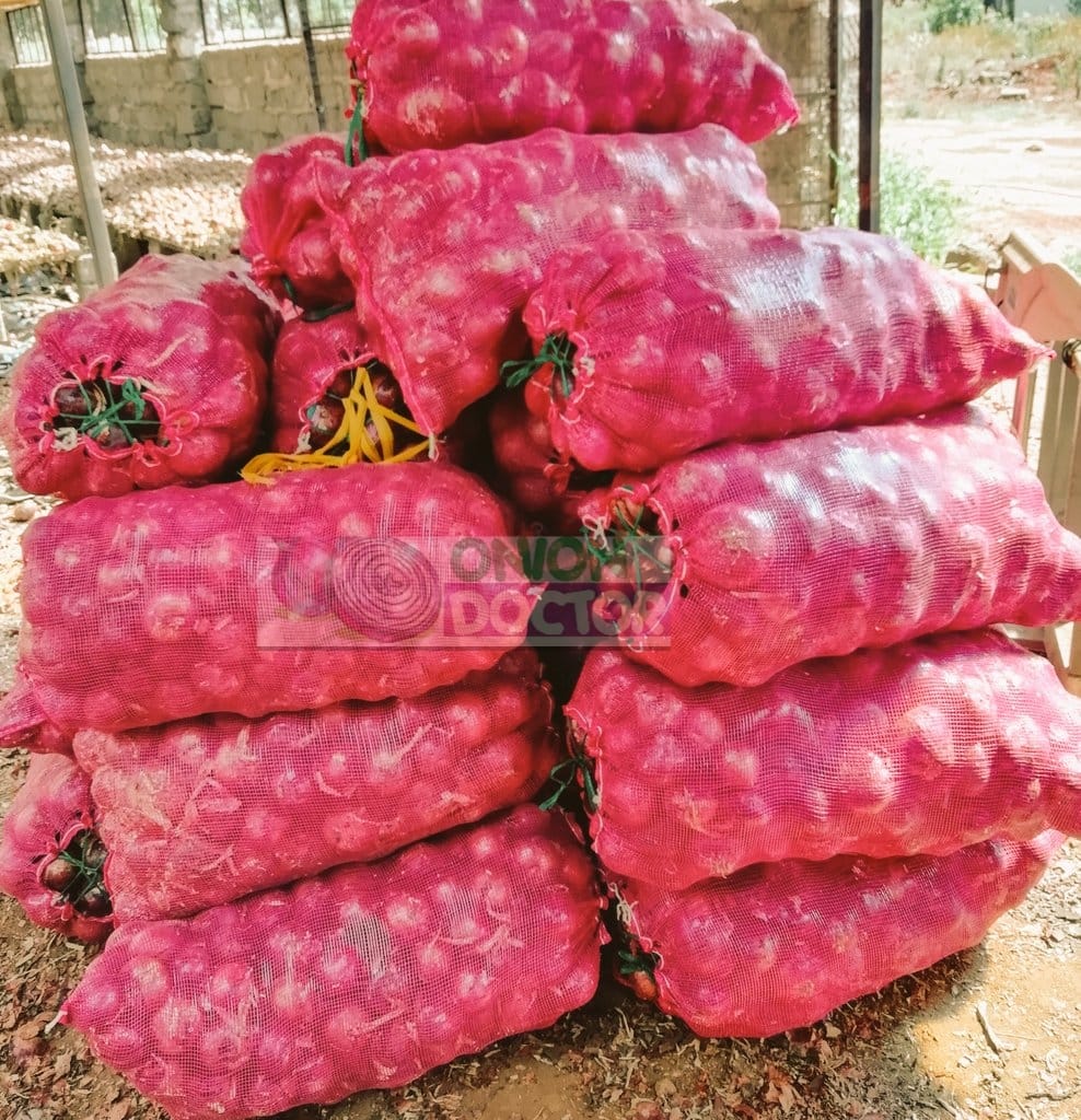 Onion Farming in Kenya: Average Farm Gate Price.