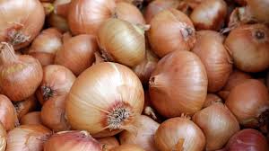 Onion Farming in Kenya: Profitable Onion Production in Kenya.