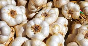 Is Garlic Man-Made?