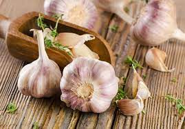 Herb Profile: Garlic