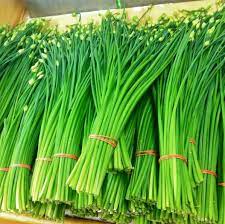 What Are Garlic Chives?