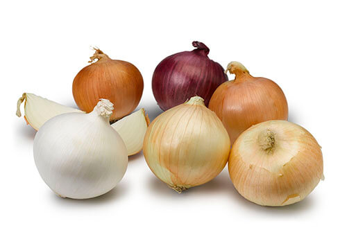 Mastering Onion Farming in Kenya: Profitable Varieties with Onion Doctor’s Expertise