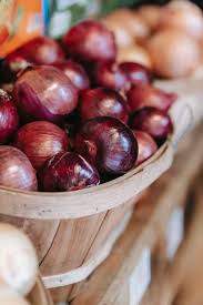 Mastering Onion Farming in Kenya: A Comprehensive Guide with Onion Doctor