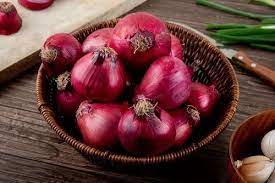 Unlocking Success in Red Onion Farming in Kenya: A Beginner’s Guide”