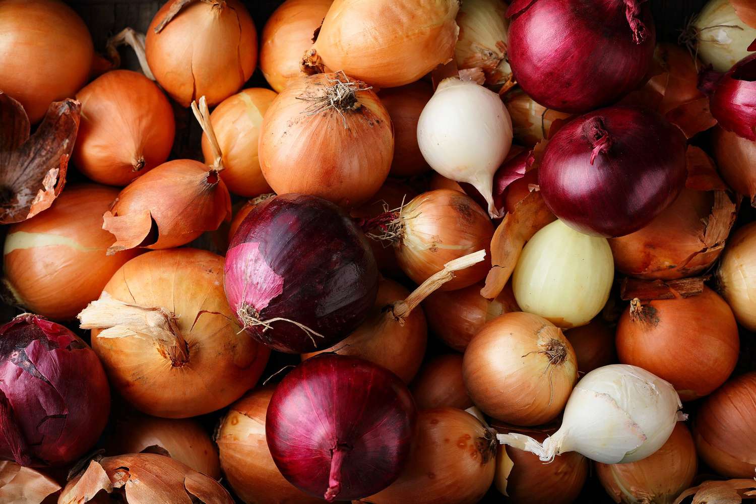 Mastering the Art of Onion Farming in Kenya: A Comprehensive Guide