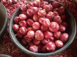 How to Harvest 20 tons Per Acre in Onion Farming Kenya.