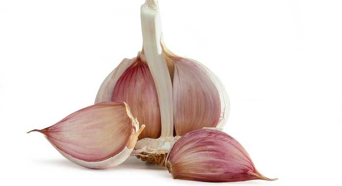 Optimizing Garlic Farming in Kenya: