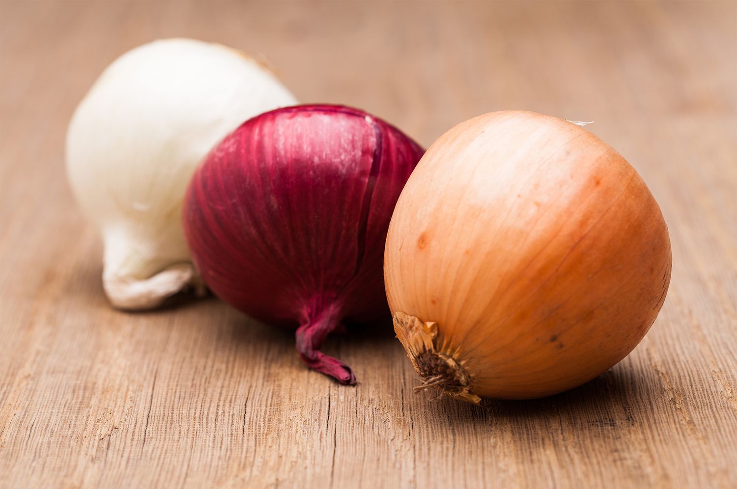 Comprehensive Guide to Onion Farming in Kenya with Expert Tips from Onion Doctor